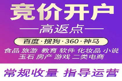 某电商平台的SEM推广策略及效果分析